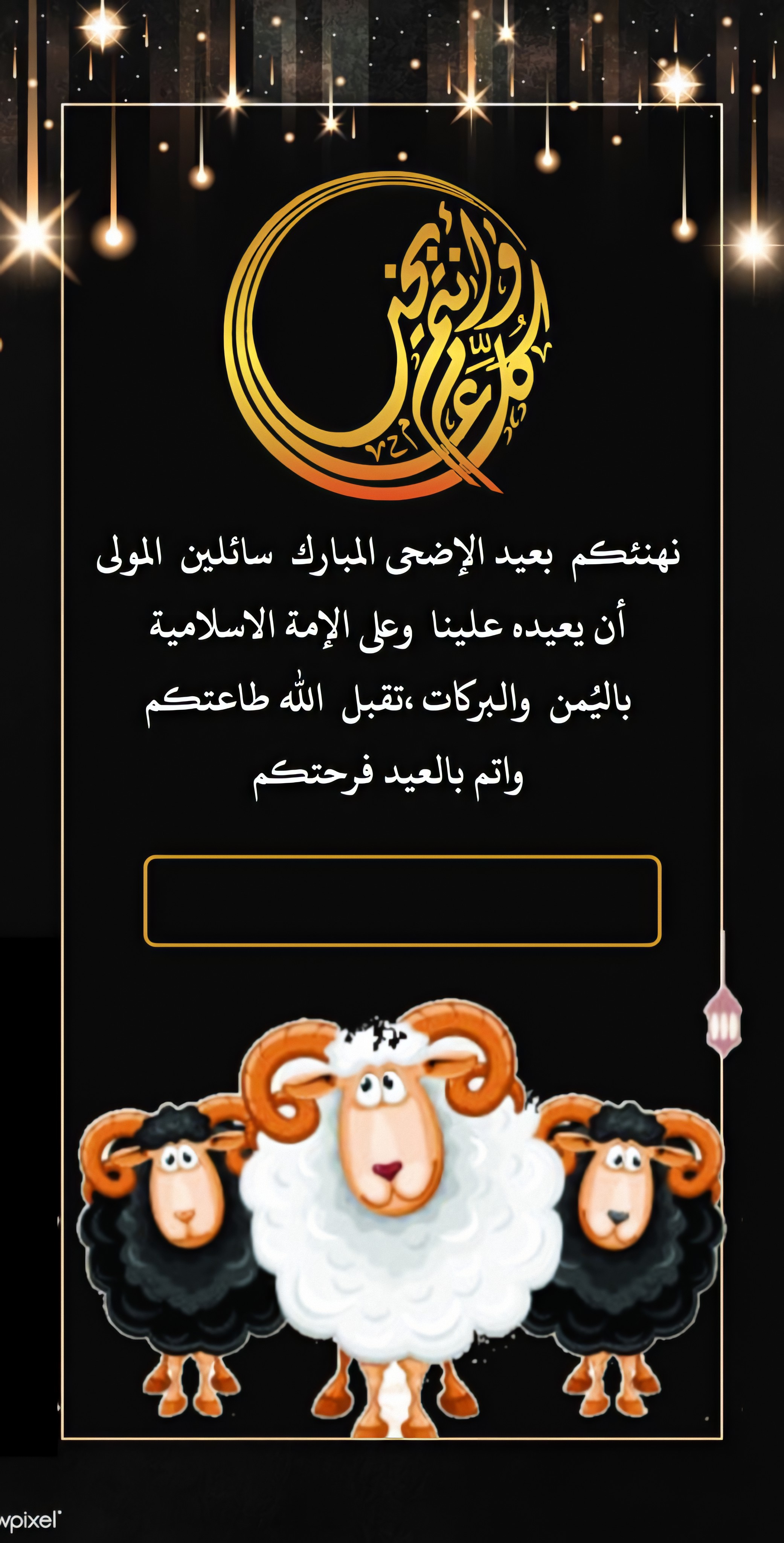 قالب قديم 10