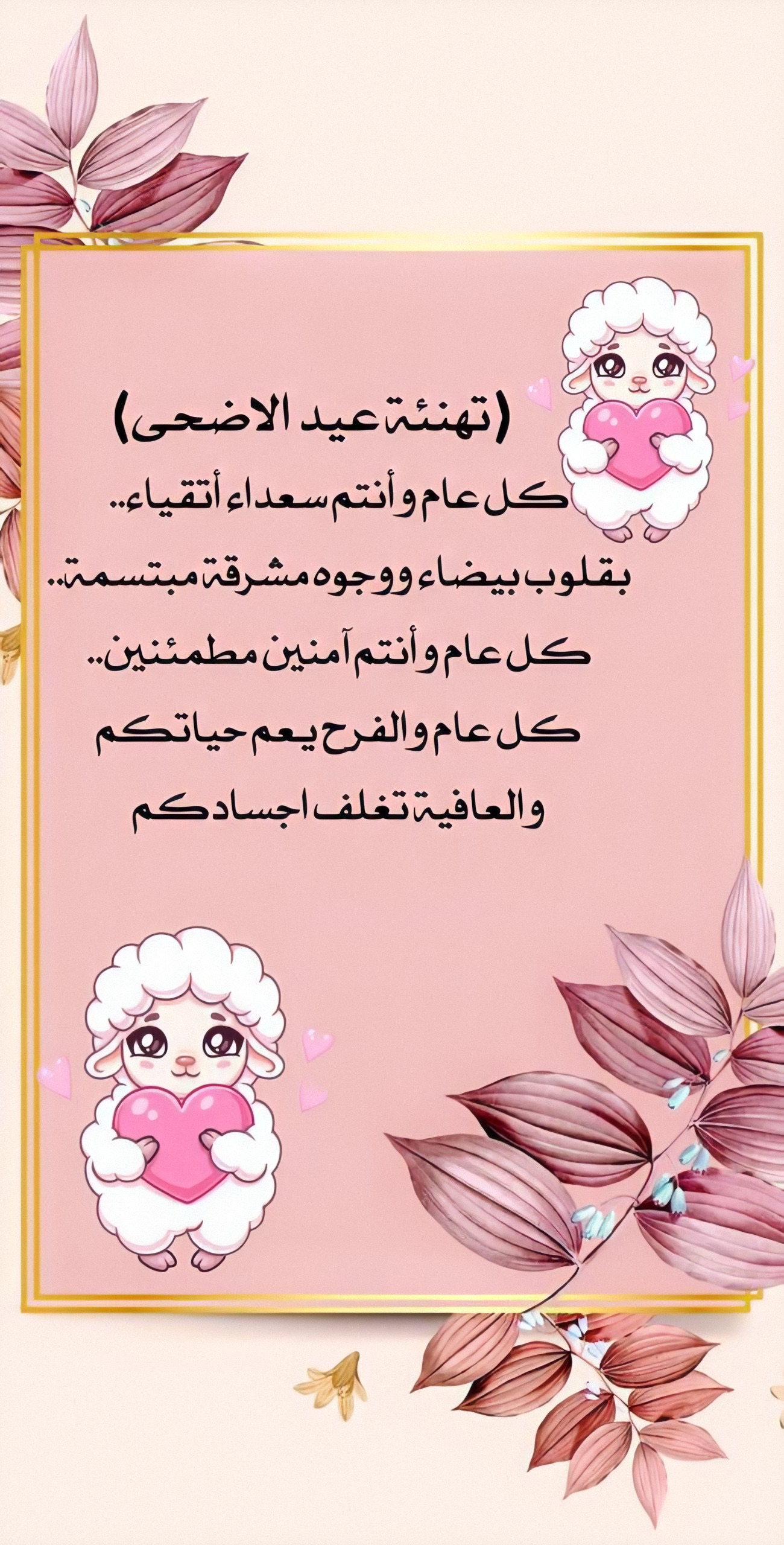 قالب قديم 5